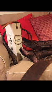 Lady Desiree Dubai 28 feb/6march 
