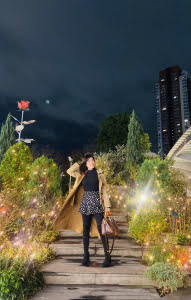 Asian Queen Bella Victoria 