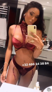 Boneca Trans